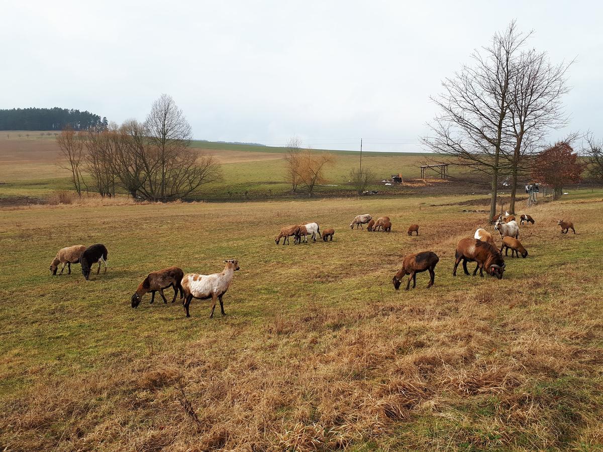 Podkroví v Jihočeském Statku Nemejice Exterior foto